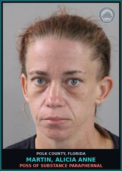 CCW arrest card for MARTIN, ALICIA ANNE in Polk County: POSS OF DRUG PARAPHERNAL