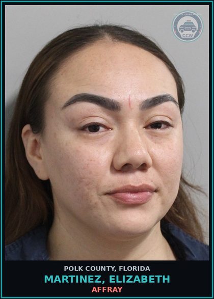 CCW arrest card for MARTINEZ, ELIZABETH in Polk County: Affray
