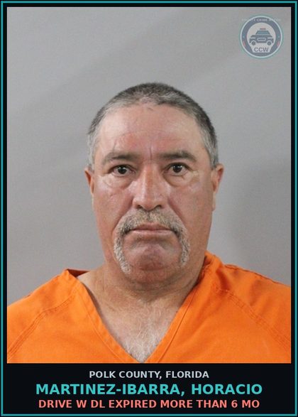 CCW arrest card for MARTINEZ-IBARRA, HORACIO in Polk County: DRIVE W DL EXPIRED MORE THAN 6 MO