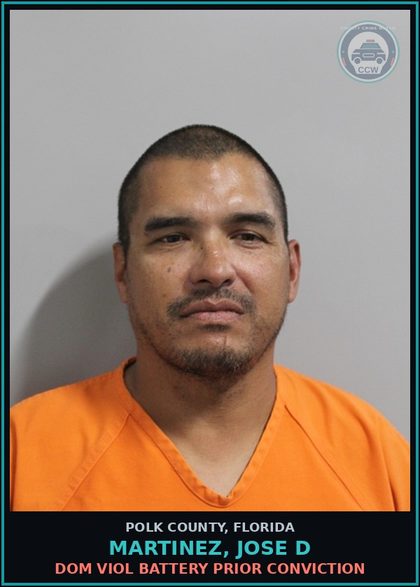 CCW arrest card for MARTINEZ, JOSE D in Polk County: Dom Viol Battery Prior Conviction