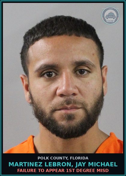 CCW arrest card for MARTINEZ LEBRON, JAY MICHAEL in Polk County: FAILURE TO APPEAR 1st Degree Misd