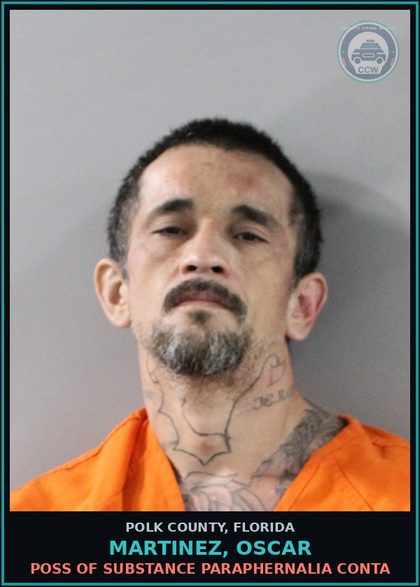 CCW arrest card for MARTINEZ, OSCAR in Polk County: Canna POSSESS Not More Than 20
