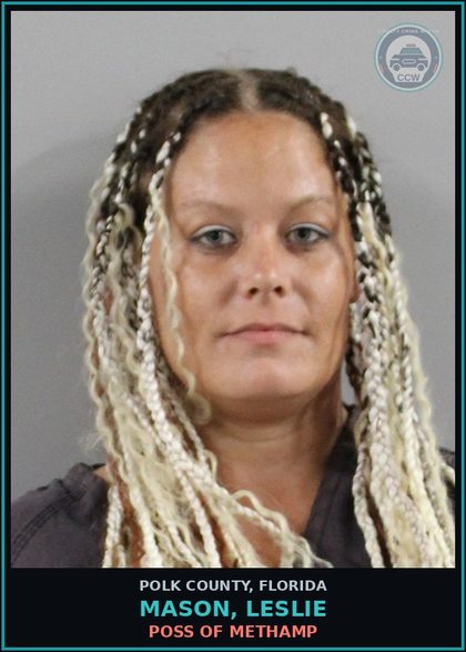 CCW arrest card for MASON, LESLIE in Polk County: Poss. Use Narcotic Paraphernalia
