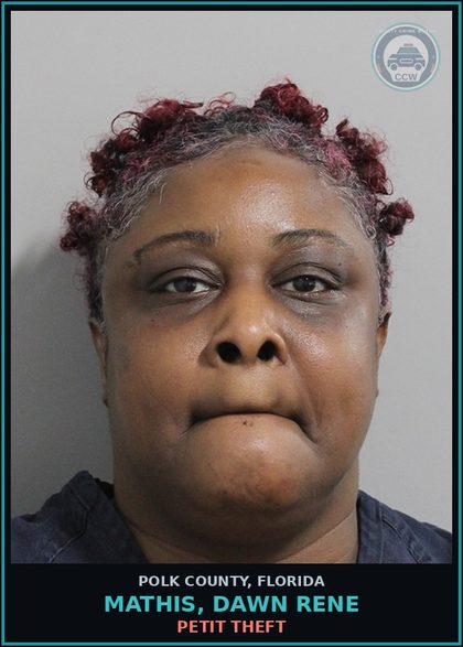 CCW arrest card for MATHIS, DAWN RENE in Polk County: Petit Theft
