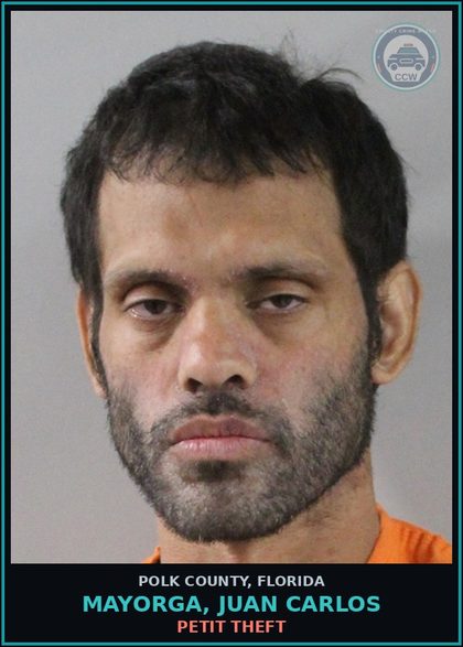 CCW arrest card for MAYORGA, JUAN CARLOS in Polk County: Petit Theft
