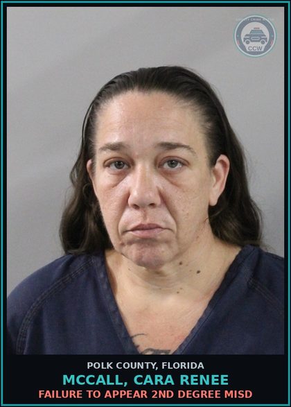CCW arrest card for MCCALL, CARA RENEE in Polk County: FAILURE TO APPEAR 2nd Degree Misd