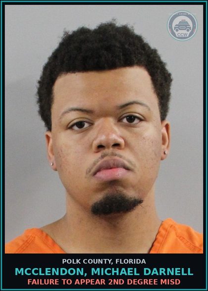 CCW arrest card for MCCLENDON, MICHAEL DARNELL in Polk County: FAILURE TO APPEAR 2nd Degree Misd