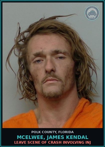 CCW arrest card for MCELWEE, JAMES KENDAL in Polk County: Leave Scene of Crash Involving Inj