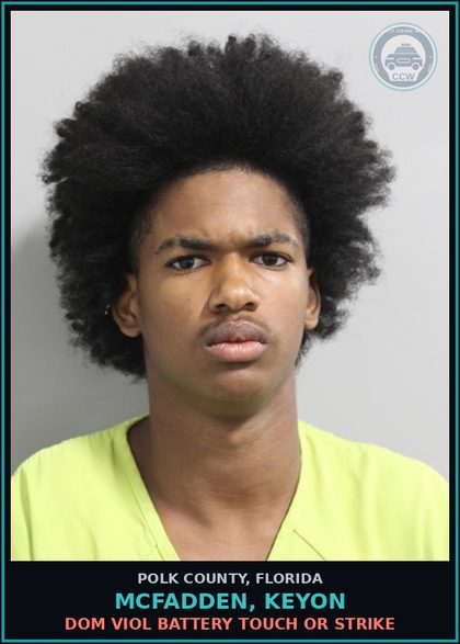 CCW arrest card for MCFADDEN, KEYON in Polk County: Criminal Mischief $200 $1000 Prev