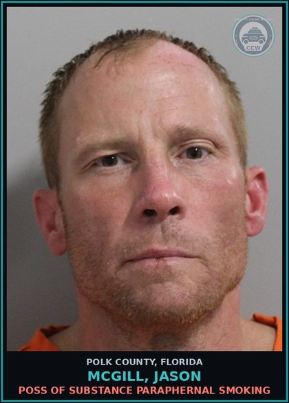 CCW arrest card for MCGILL, JASON in Polk County: LKD CITYCODE 74 2 TRESPASSING IN A