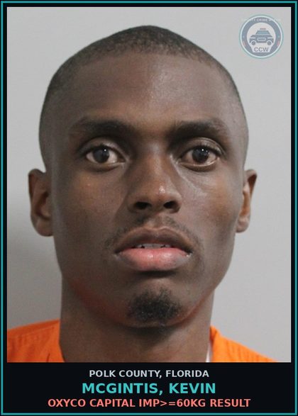 CCW arrest card for MCGINTIS, KEVIN in Polk County: Information Non Criminal Offense