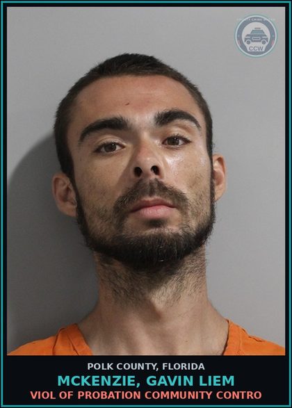 CCW arrest card for MCKENZIE, GAVIN LIEM in Polk County: Viol of Probation Community Contro