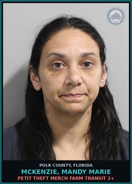 CCW arrest card for MCKENZIE, MANDY MARIE in Polk County: Petit Theft Merch Farm Transit 2+