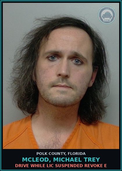 CCW arrest card for MCLEOD, MICHAEL TREY in Polk County: Drive While Lic Suspended Revoke E