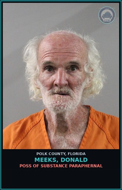 CCW arrest card for MEEKS, DONALD in Polk County: POSS OF DRUG PARAPHERNAL