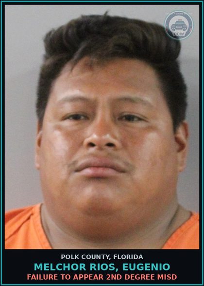 CCW arrest card for MELCHOR RIOS, EUGENIO in Polk County: FAILURE TO APPEAR 2nd Degree Misd