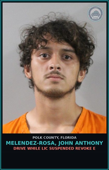 CCW arrest card for MELENDEZ-ROSA, JOHN ANTHONY in Polk County: Drive While Lic Suspended Revoke E