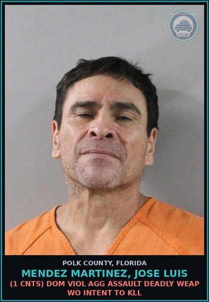 CCW arrest card for MENDEZ MARTINEZ, JOSE LUIS in Polk County: POSS OF DRUG PARAPHERNAL