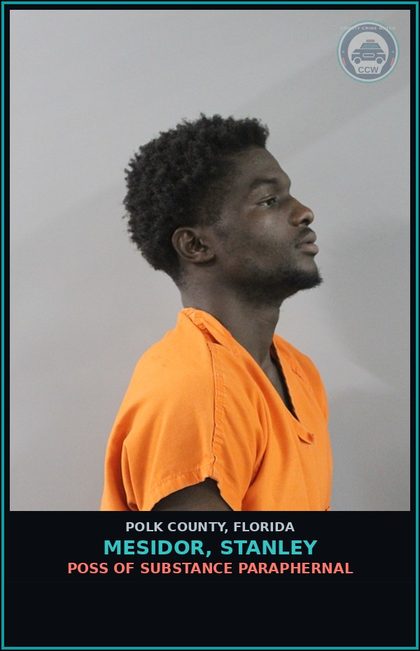 CCW arrest card for MESIDOR, STANLEY in Polk County: Canna POSSESS Not More Than 20