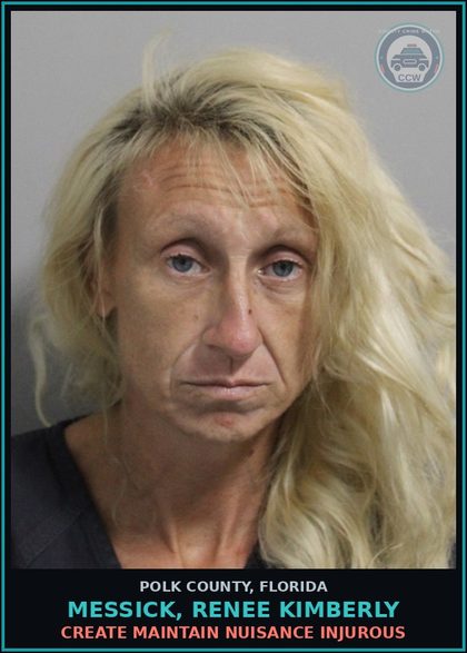 CCW arrest card for MESSICK, RENEE KIMBERLY in Polk County: Create Maintain Nuisance Injurous