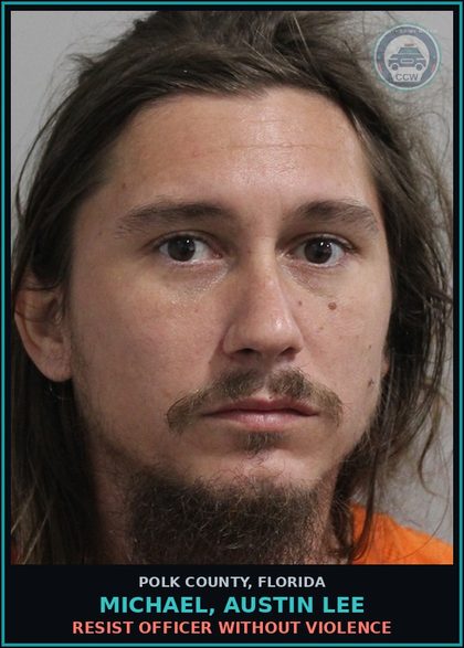 CCW arrest card for MICHAEL, AUSTIN LEE in Polk County: Resist Officer without Violence