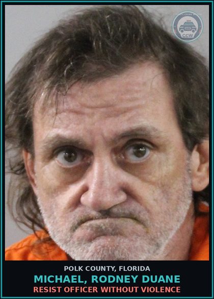 CCW arrest card for MICHAEL, RODNEY DUANE in Polk County: Resist Officer without Violence