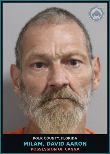 CCW arrest card for MILAM, DAVID AARON in Polk County: POSSESSION OF Canna