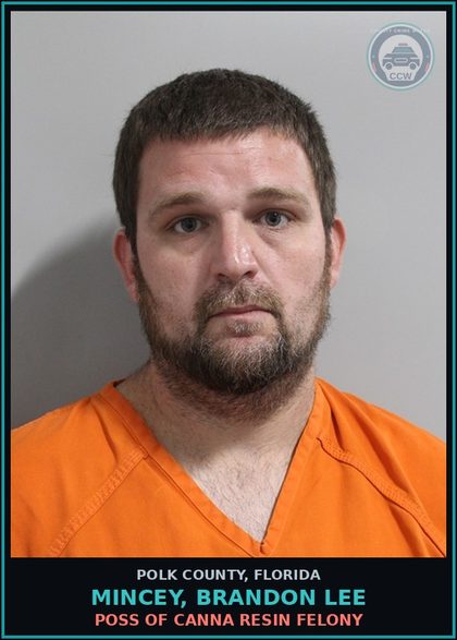CCW arrest card for MINCEY, BRANDON LEE in Polk County: Canna POSSESS Not More Than 20
