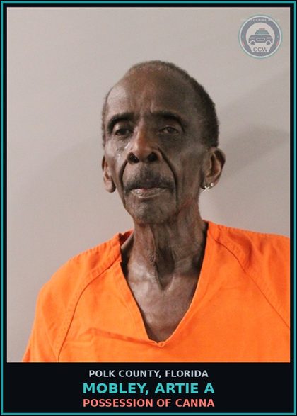 CCW arrest card for MOBLEY, ARTIE A in Polk County: POSSESSION OF Canna
