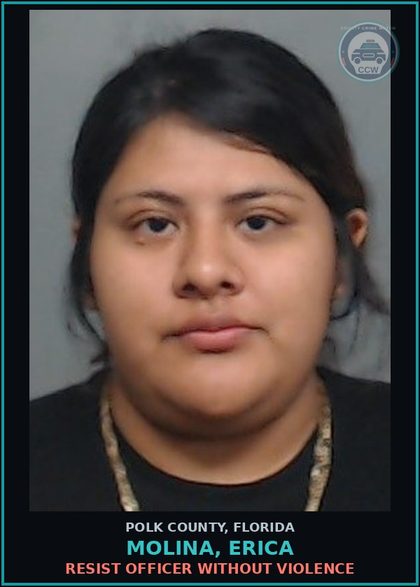CCW arrest card for MOLINA, ERICA in Polk County: Information Non Criminal Offense