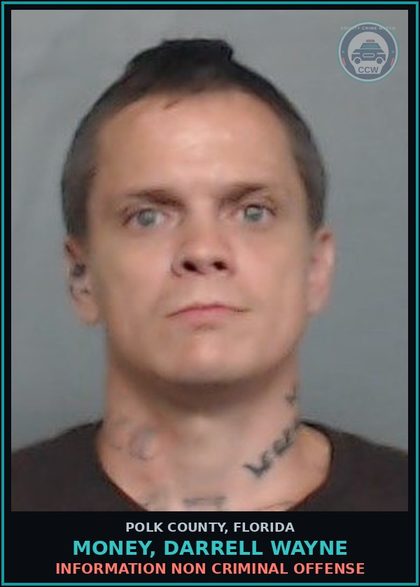 CCW arrest card for MONEY, DARRELL WAYNE in Polk County: Information Non Criminal Offense