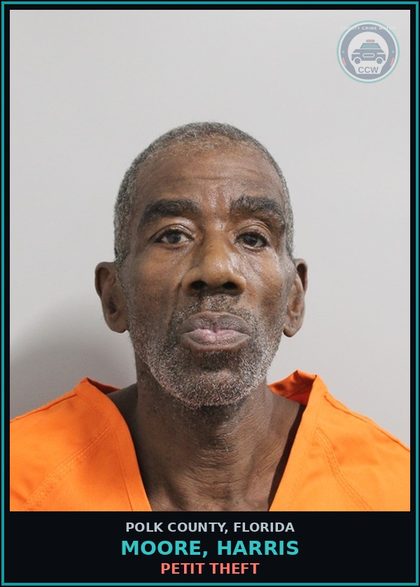 CCW arrest card for MOORE, HARRIS in Polk County: Petit Theft