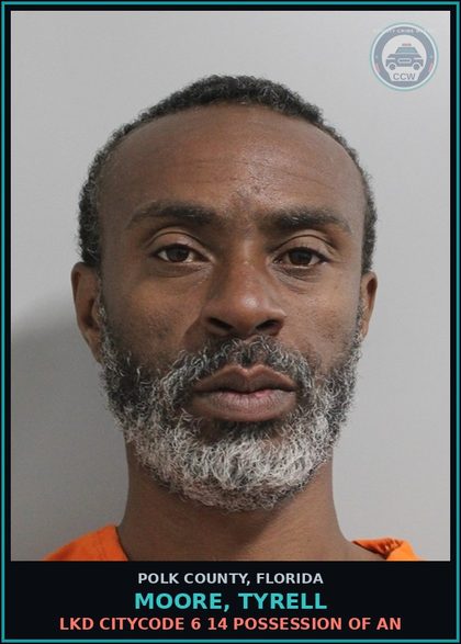 CCW arrest card for MOORE, TYRELL in Polk County: LKD CITYCODE 6 14 POSSESSION OF AN