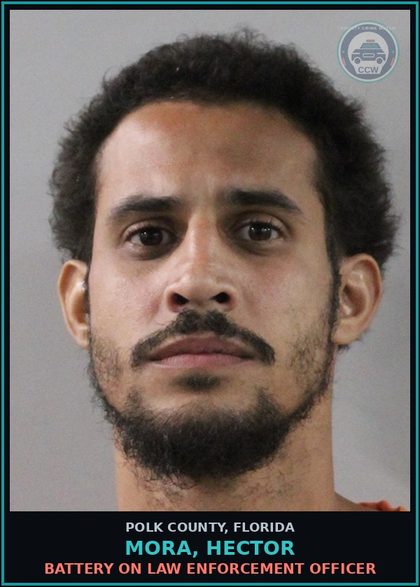 CCW arrest card for MORA, HECTOR in Polk County: Resist Officer without Violence