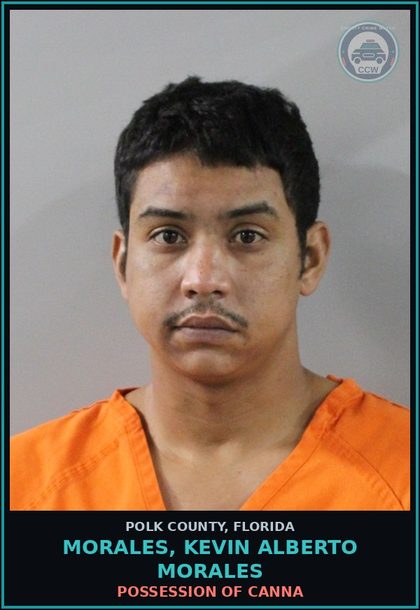 CCW arrest card for MORALES, KEVIN ALBERTO MORALES in Polk County: POSSESSION OF Canna