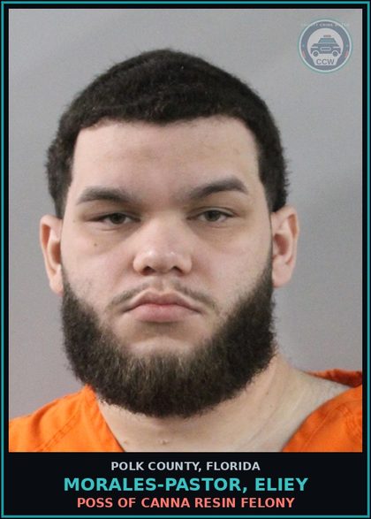 CCW arrest card for MORALES-PASTOR, ELIEY in Polk County: DRUGS Keep Shop Veh Etc For Drugs