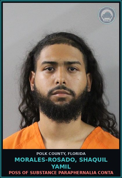 CCW arrest card for MORALES-ROSADO, SHAQUIL YAMIL in Polk County: Canna POSSESS Not More Than 20