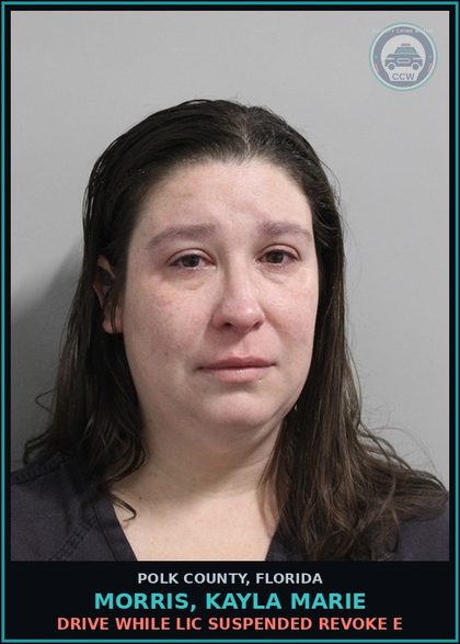 CCW arrest card for MORRIS, KAYLA MARIE in Polk County: Drive While Lic Suspended Revoke E