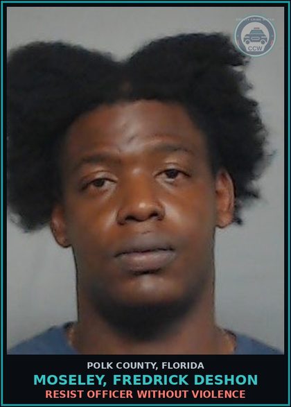 CCW arrest card for MOSELEY, FREDRICK DESHON in Polk County: Information Non Criminal Offense