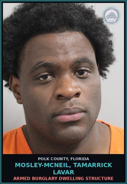 CCW arrest card for MOSLEY-MCNEIL, TAMARRICK LAVAR in Polk County: Grand Theft of Motor Vehicle