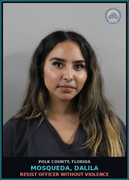 CCW arrest card for MOSQUEDA, DALILA in Polk County: Resist Officer without Violence