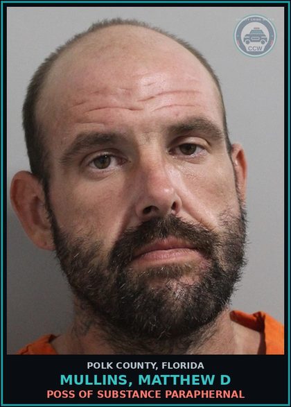 CCW arrest card for MULLINS, MATTHEW D in Polk County: Resist Officer without Violence