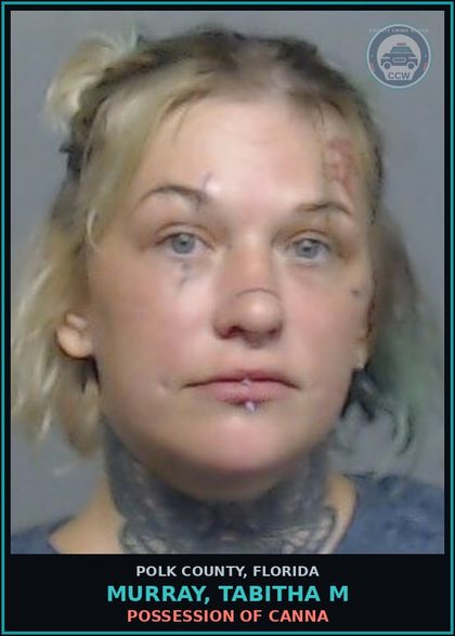CCW arrest card for MURRAY, TABITHA M in Polk County: Information Non Criminal Offense