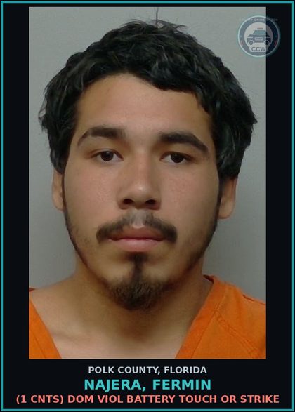 CCW arrest card for NAJERA, FERMIN in Polk County: (1 cnts) Dom Viol Battery Touch or Strike