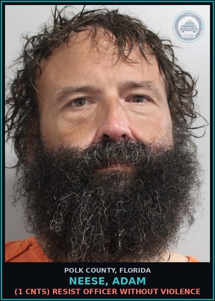 CCW arrest card for NEESE, ADAM in Polk County: (1 cnts) RESIST OFFICER WITHOUT VIOLENCE