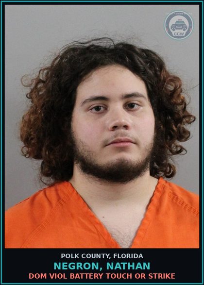 CCW arrest card for NEGRON, NATHAN in Polk County: Dom Viol Battery Touch or Strike