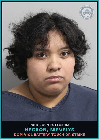 CCW arrest card for NEGRON, NIEVELYS in Polk County: Dom Viol Battery Touch or Strike