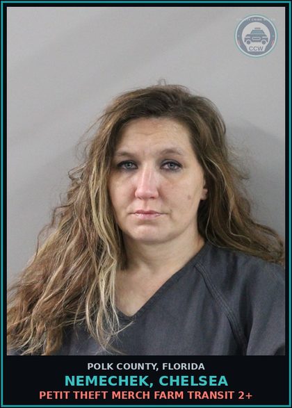 CCW arrest card for NEMECHEK, CHELSEA in Polk County: Petit Theft Merch Farm Transit 2+