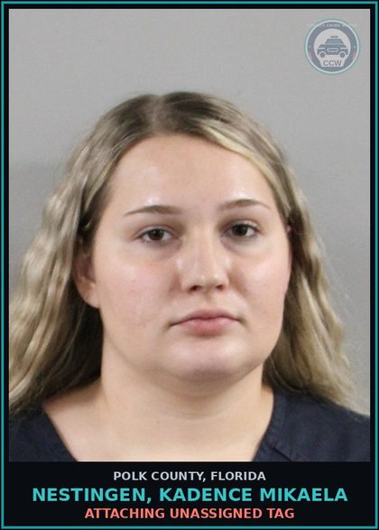 CCW arrest card for NESTINGEN, KADENCE MIKAELA in Polk County: Attaching Unassigned Tag