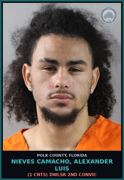 CCW arrest card for NIEVES CAMACHO, ALEXANDER LUIS in Polk County: (1 cnts) DWLSR 2ND CONVIC